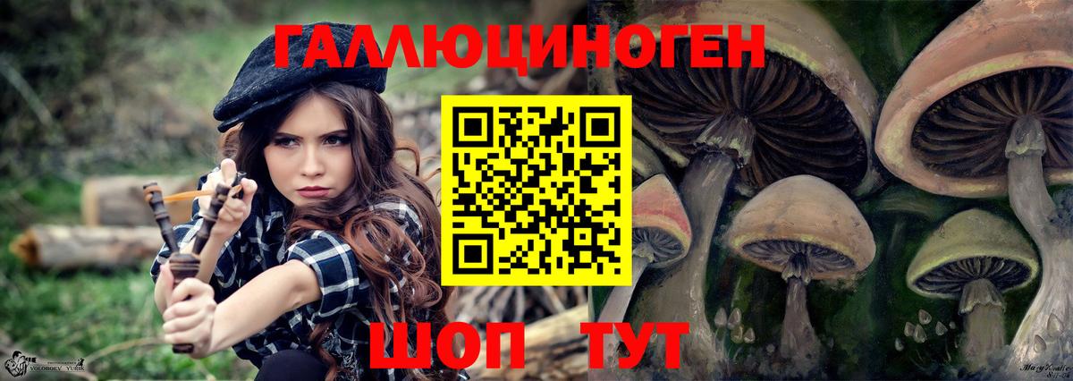 Псилоцибиновые грибы мухоморы Протвино